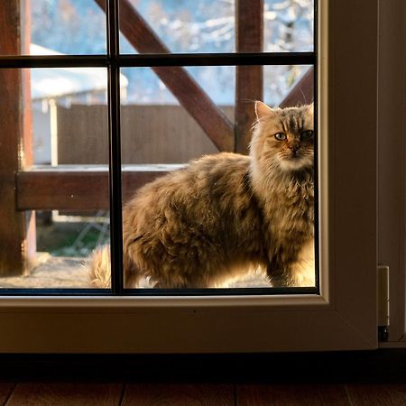 Мигово Гражда Migovo Exterior foto